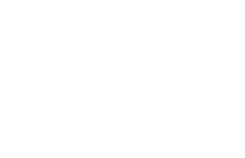 Pilates Vibes logo